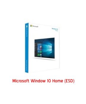 Windows Home 10 32bit/64bit All Languages Online Download Microsoft (ESD)